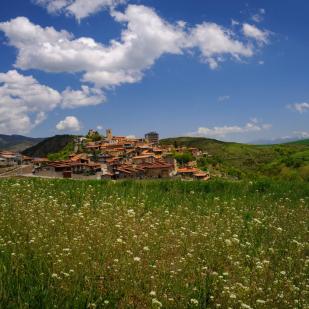 Parc dels búnquers de Martinet i Montellà