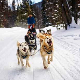 Activités dans la neige: